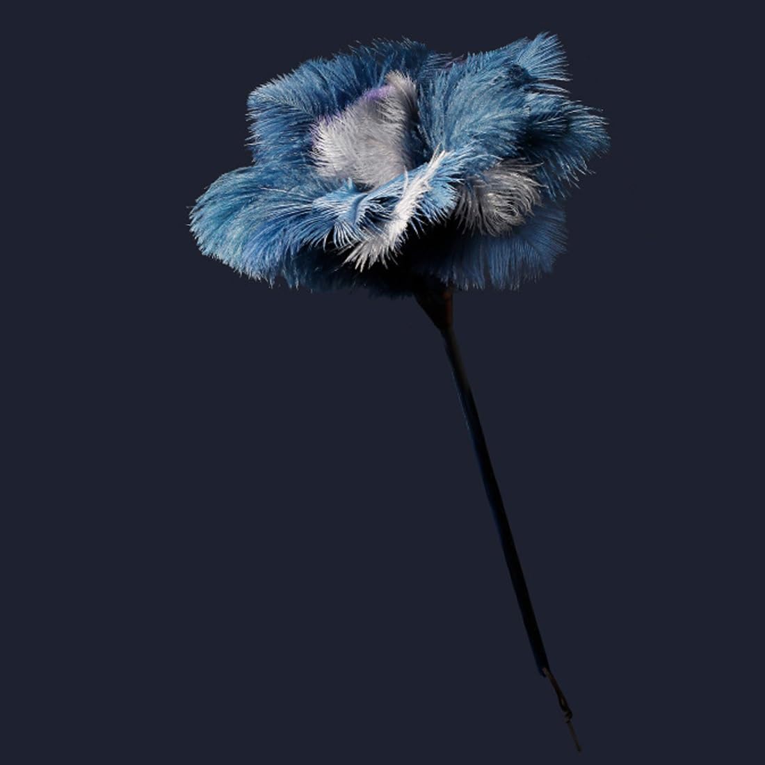 feather duster, Reusable Cleaning Feather Duster, Fluffy Dusters With Handle For Car, Computer, Air Cond(M)