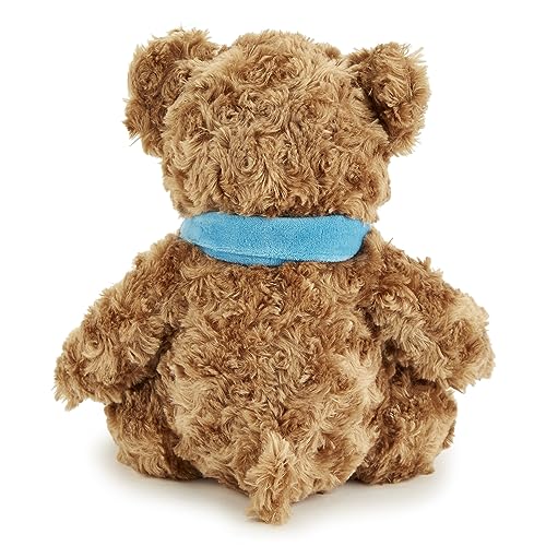 Zappi Co Congratulations Classic Soft Bear (28-30 cm) Congrats Childrens Stuffed Soft Cuddly Safari animals Collection Plush Teddy New Born Child First kid - Image 4