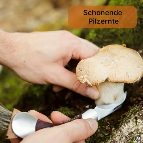 Dönges klappbares Pilzmesser mit Bürste, Edelstahl & Pakkaholzgriff – Ansicht 6