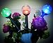 Solar Lights Outdoor Garden Decorations Decorative Stake Light,3 Color Crackle Glass Globe, for Patio Yard Pathway Landscape