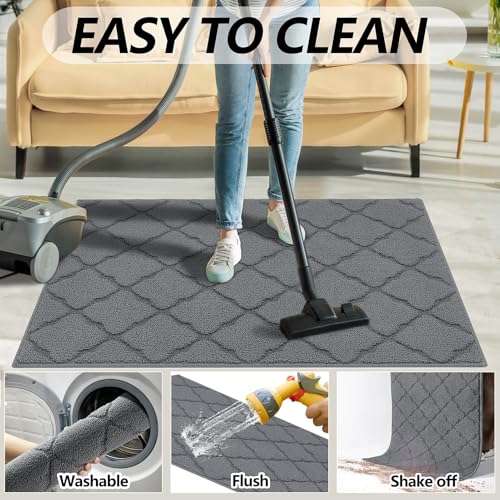 Image of Timo Indoor Door Mat for Entryway, Absorbent Dirt Trapper Doormats 20 inchx32 inch with Non Slip Rubber Backing, Low Profile Rugs Washable Floor Mat for Front Entry, Muddy Shoes and Pet Paws, Grey