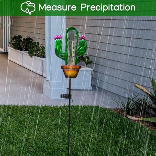 Pluviomètre solaire décoratif en forme de cactus, cadeau idéal