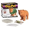 Chia Pet Bear Cub with Seed Pack, Decorative Pottery Planter, Easy to Do and Fun to Grow, Novelty Gift, Perfect for Any Occasion #3