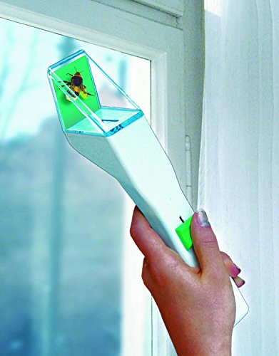 Preisvergleich Produktbild Snapy der Insektenfänger (4 er Set, bunt)