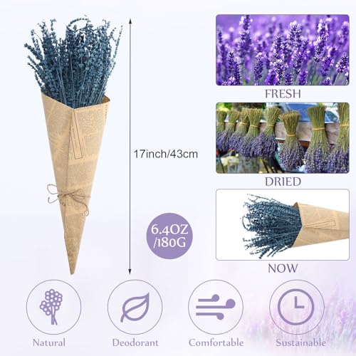 Ramilletes de flores de lavanda azul secas de 17 pulgadas miniatura 2