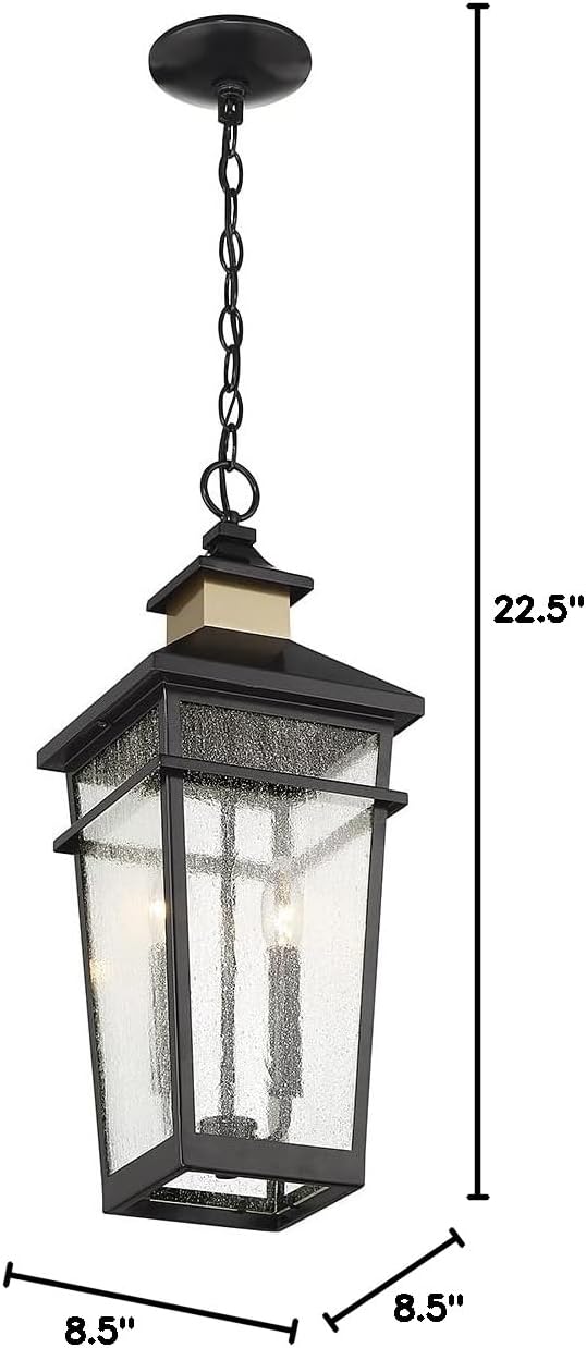 Savoy House 5-717-143 Kingsley Coastal Modern Clear Seeded Glass Outdoor Hanging Lantern, 2-Light 80 Total Watts, 23" H x 9" W, Matte Black with Warm Brass
