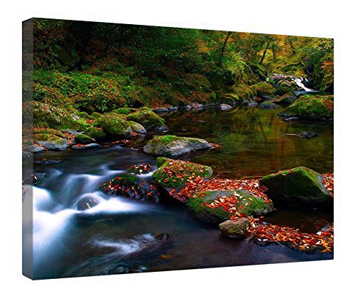 Rivière colorée en toile suspendue : cadeau idéal cadre en bois 40x50