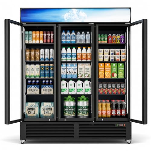 Cintva 56 Cu.Ft Commercial Display Fridge