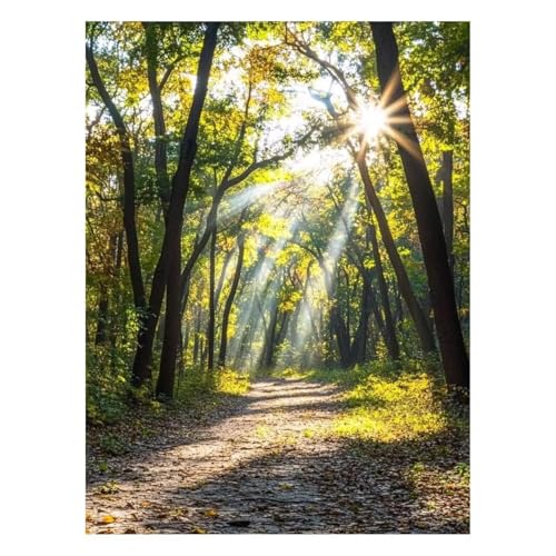 ���i �������G �����h��G ����L�b�g �� DIY �A�[�g�G���|�L�b�g �E�H�[���A�[�g �y�C���g�o�C�i���o�[ �H ���� �L�����o�X �G��Ǐ���30 x 20cm �p�L�����r���O���[���Q���̉Ƃ̑��� �a�����v���[���g���� JLYH-11305