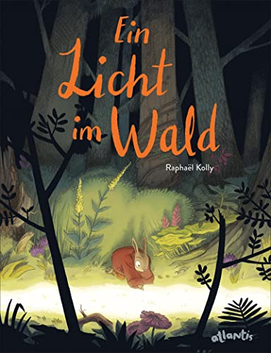 Preisvergleich Produktbild Ein Licht im Wald: Bilderbuch