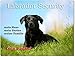 Produktbild Merchandise for Fans Warnschild - Schild aus Aluminium 20x30cm - Motiv: Labrador Security (01)