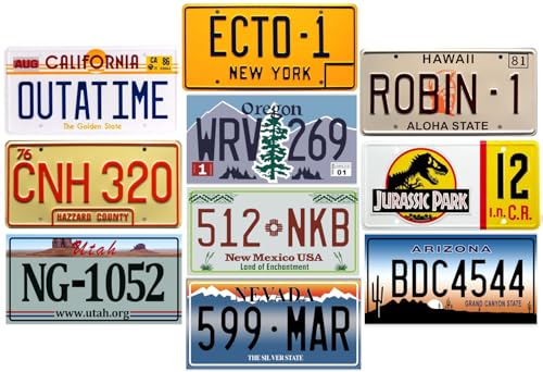 - Satz mit 10 amerikanischen Autokennzeichen aus Metall - Repliken echter US-Kennzeichen - V1C