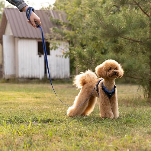 Ferplast Kleines Hundegeschirr ERGOCOMFORT EXTRA SMALL, verstellbares Hundegeschirr, bequem, gepolstert, doppelter Mikroverstellverschluss, Schnellverschluss, Silber