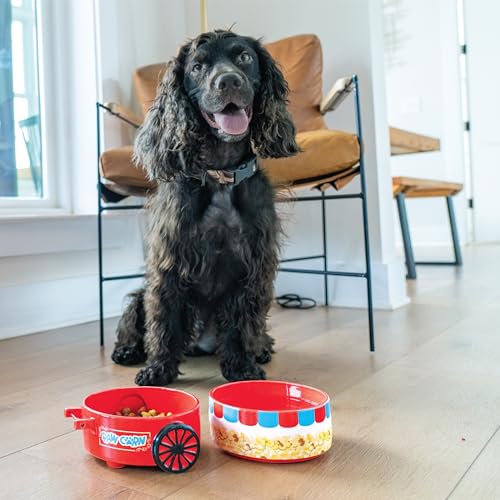 Bols à popcorn en céramique BigMouth Inc pour chat et chien - Lot de 2 - 3