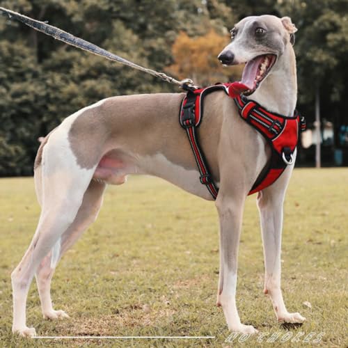 DKDDSSS Hundegeschirr Atmungsaktiv Brustgeschirr, Anti-Zug Geschirr, Hundegeschirr mit Atmungsaktiver Polsterung, HHundegeschirr Grosse Hunde, Geschirr für Hunde, Einfache Anpassung und Benutzung