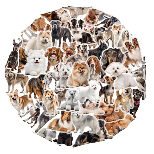 50 hbO u[h lC J[gD[ XebJ[Zbg b  lC h X[cP[X M^[  oCN ]  wbg p\R X}z m[g fJ[ Xm{ XP[g{[h ו X}zP[X p