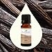 Plant Therapy Vanilla Extract 10 mL (1/3 oz) 100% Pure, Undiluted, Therapeutic Grade