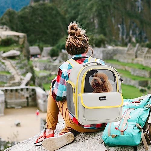 PETCUTE Cat Backpack Carrier,Foldable Pet Carrier Backpack for Cats Small Dogs Puppy with Soft Fleece Mat and Built-in Safety Belt,Transparent Spacious Cat Carrier Rucksack with Great Ventilation - Image 2