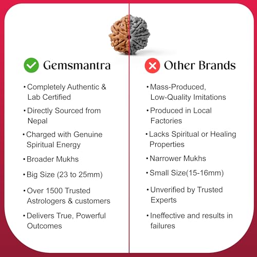 Image of Gemsmantra 7 Mukhi Rudraksha Bead Without Silver Pendant | Regular Size |Original Nepali | Natural and Lab Certified | Represents Goddess Lakshmi, Enhances Wealth, Prosperity & Success For Men & Women