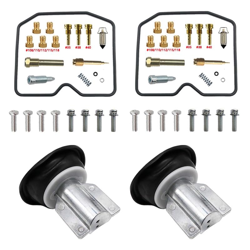 Kit carburateur KLE 500 pour résoudre les fuites d'essence et les trous d'accélération