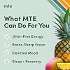 MTE Caffeine-Free Energy Drink Powder with Paraxanthine Clean Energy for Focus, Mood & Productivity | 24 Energy Drink Packets