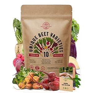 Organo Republic 10 Rare Beet Seeds Variety Pack for Planting Indoor & Outdoors 1625+ Heirloom Non-GMO Bulk Beets Gardening Seeds: Chioggia, Detroit Dark Red, Sugar, Cylindra, Bulls Blood, White Albino