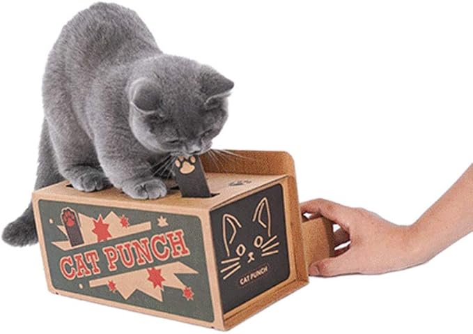 猫 おもちゃ Sepo モグラ叩き もぐらたたき 紙箱 取り付けやすい 猫遊び ペット用品 おもちゃ 通販 Amazon