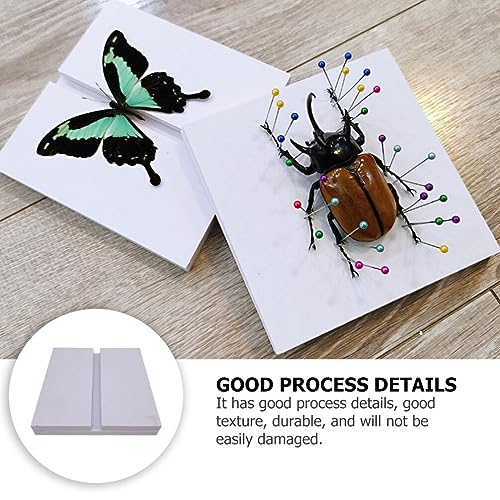 Image of ULTECHNOVO PVC Specimen Display Board for Science Education Insect Collection and Experiment Teaching Tool Portable and Easy to Store Ideal for Classroom Use