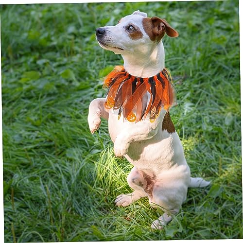 Collier Halloween élastique pour chiot, l'accessoire sans stress - 7