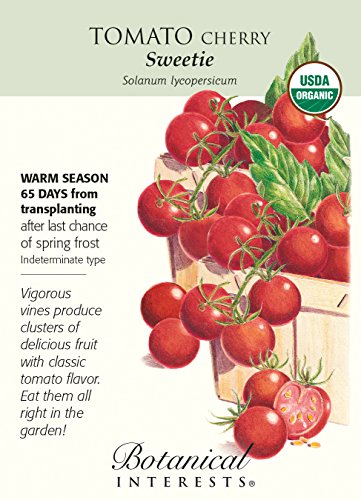 Organic Sugar Sweetie Cherry Tomato - 25 Seeds Organic Sugar Sweetie Cherry Tomato - 25 Seeds