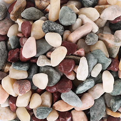 Galets naturels de 5 kg polis pour décoration d'aquarium et aménagement paysager