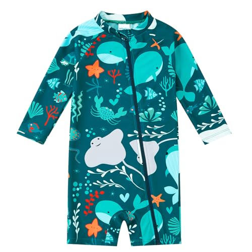 upandfast Baby One Piece Swimwear Rash Guard UV Protection Full Zipper Infant Sunsuit(Green Whale, 3-6 Months)