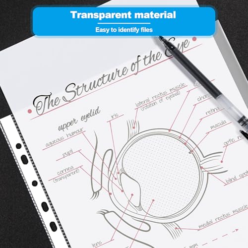 Pochettes transparentes A4 perforées extra fortes pour classer 300 documents - 6