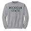 Msu Spartans Sport Grey