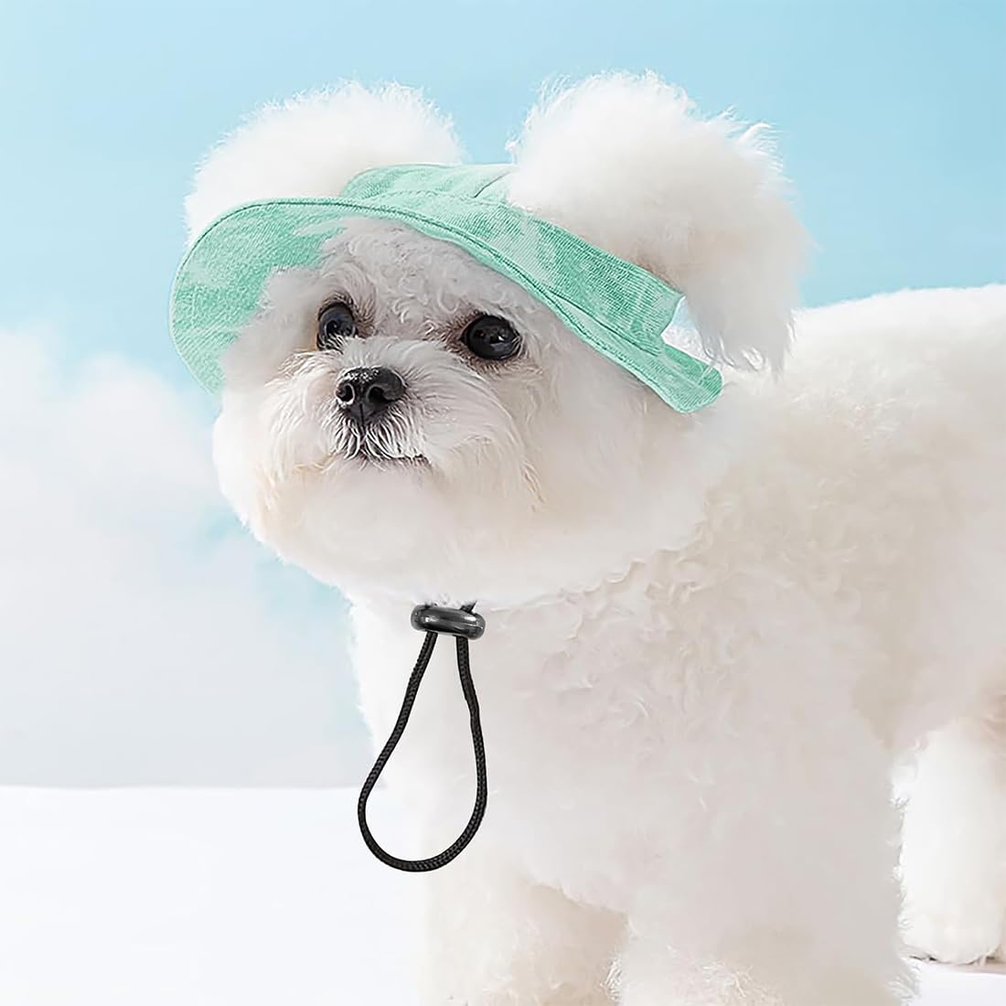VisageVitalit Chapeau pour Chien, Casquette de Baseball pour Chiens, Casquette Chien Petite Taille, avec Trous pour Oreilles, pour Chiens de Petite, Moyenne et Grande Taille