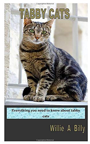 Tabby Cats Everything You Need To Know About Tabby Cats | Desertcart GB