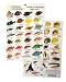 National Geographic - Guide to Hawaiian Reef fish - Fish ID Card (6 in by 9 in)