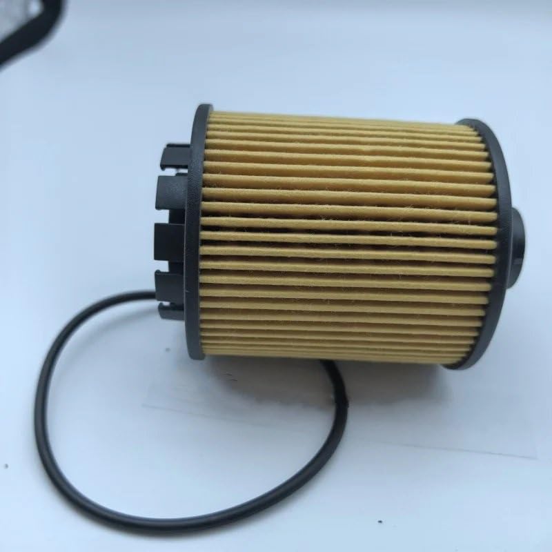 Filtro de aceite para renovación de motor en Mocha Latte DHT y POER 6