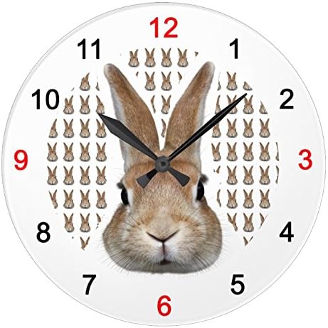 Amazon Co Jp ウサギの顔の壁掛け時計 丸型 ピクチャークロック 世界の野生動物シリーズ D 並行輸入品 ホーム キッチン