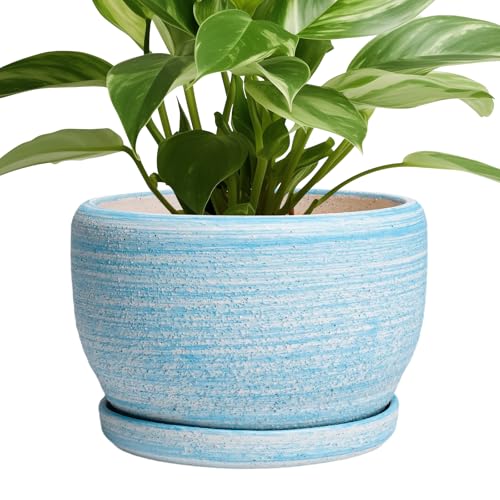 SQOWL Ceramic Planter - 8 inch Pot for Plants Indoor Outdoor, Modern Ceramic Flower Pot with Drainage Hole and Saucer, Decorative Round Planter, Home Office Decor, Plant Lovers Gifts, Blue