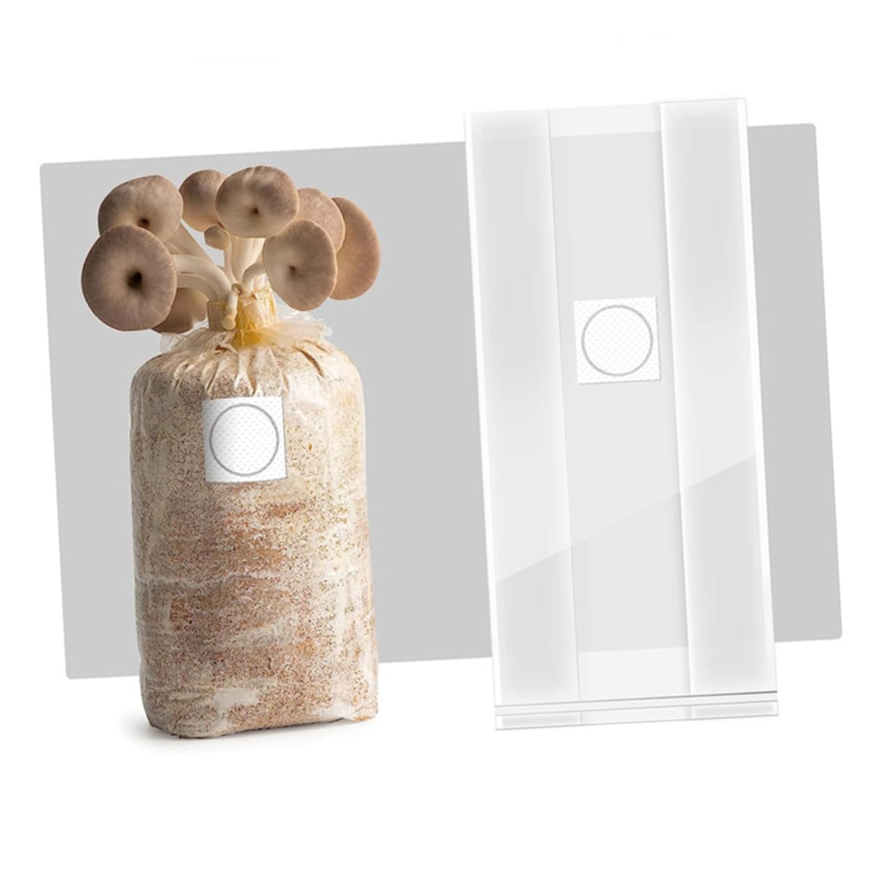 Milisten 50 Pièces Sacs de Culture pour Champignons Kit de Culture de Pleurotes Sacs Collecteurs de Poussière Stérilisé Pliables pour Champignons avec Filtre