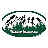 CNW Studio Wildcat Mountain State Park Decal Vinyl Bumper Sticker 5'