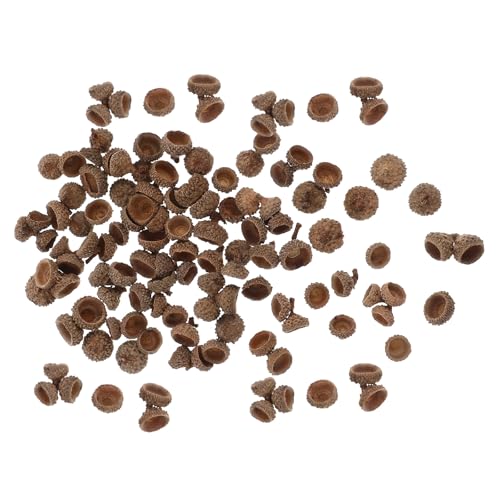 Natural Acorn Shell Caps 300 Piezas para Manualidades miniatura 1