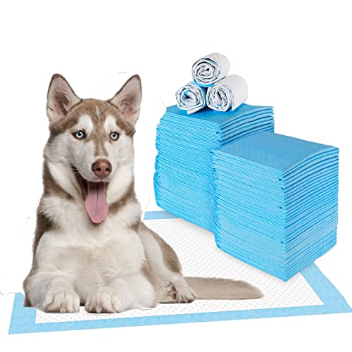 Empapadores Perros Lavables 60 Marca Genérico