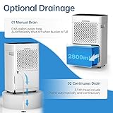 HUMSURE Dehumidifier 25L, Dehumidifiers for Home with 24 Hour Timer, Auto Defrost, Ionizer, Continuous Drainage Dehumidifier for Bedroom Basements Bathroom - Image 4