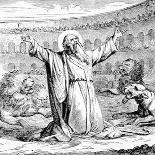 7 Afraid to be Catholic?