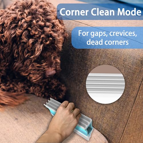 Image of 4IN1 Pet Hair Remover, Dog /Cat Fur Removal Tool - Design to Uproot and Clean Embedded Pets Hair in Carpet, Couchs, Cat Trees, Portable Fur Cleaning for Car Interior During Travel with Your pet, Pro