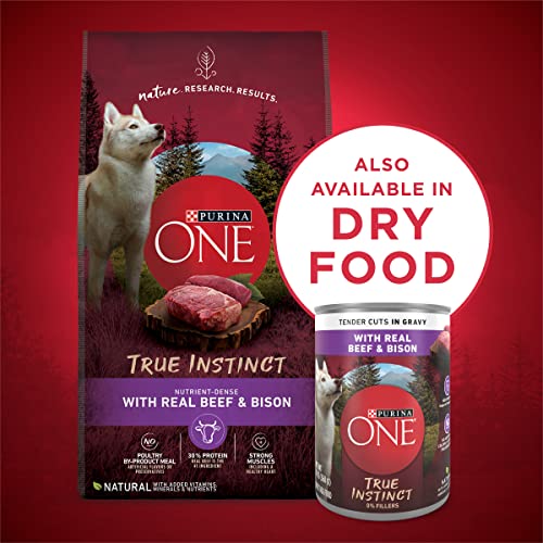 Image of Purina ONE High Protein Wet Dog Food True Instinct Tender Cuts in Dog Food Gravy With Real Beef and Bison - (Pack of 12) 13 oz. Cans