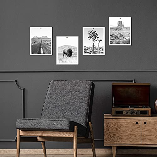 Color Play Desert Landscape Prints Wall Art Unframed American Buffalo Pictures Tree Highway Monument Valley Black And White Photograph For Home Wall Decor 8X10 Inches Set Of 4 #TOP3