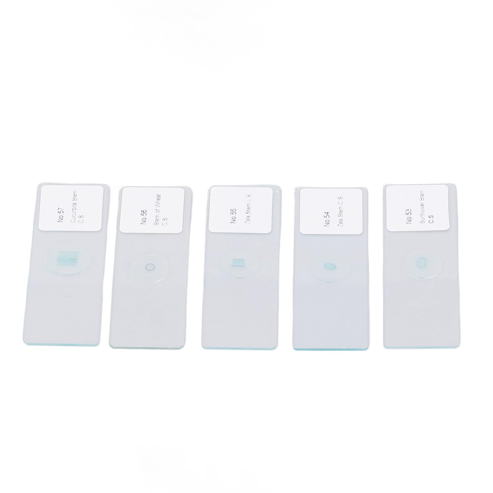 Cocoarm Portaobjetos de Microscopio, Portaobjetos de Microscopio en Blanco de Vidrio óptico, 100 Piezas de Borde Redondeado para Observación de Células Vegetales, Etiquetado Transparente y Caja de